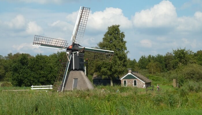 Spinnekopmolen De Wicher in De Weerribben